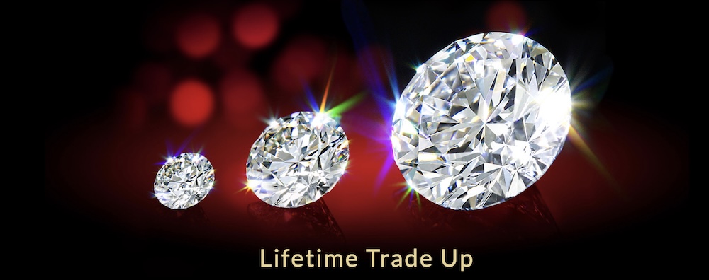 Whiteflash Trade Up Policy